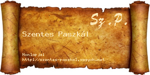 Szentes Paszkál névjegykártya